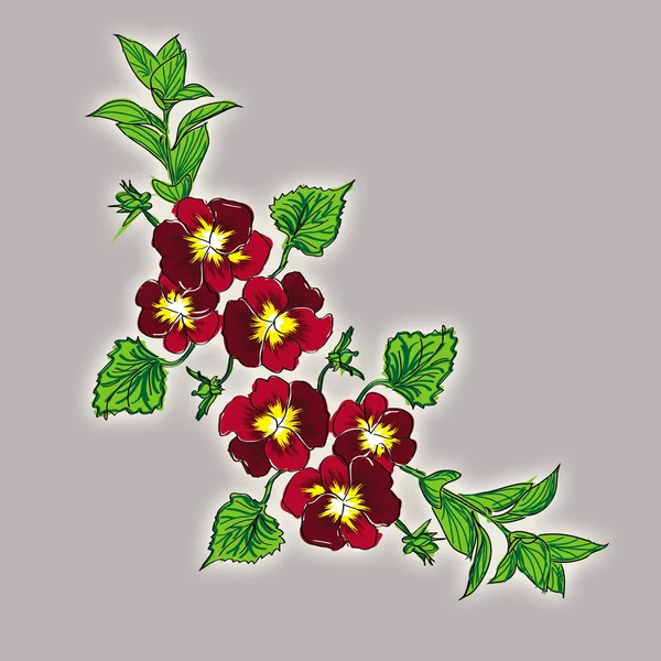 Branch pansy — Stock Photo, Image