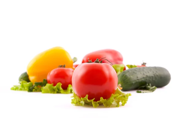 stock image Red tomato with vegetables on white background