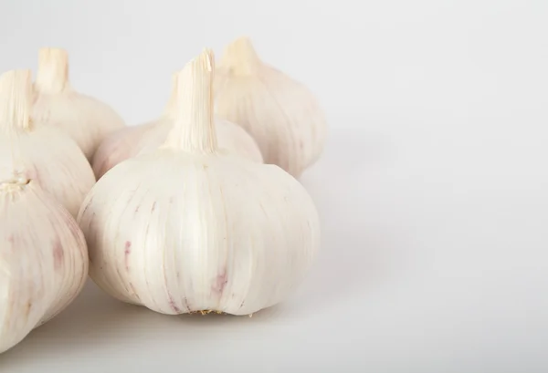Fresh garlic on grey background — Stock Photo, Image