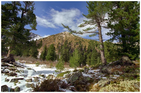 stock image Sayan mountain. Arshan