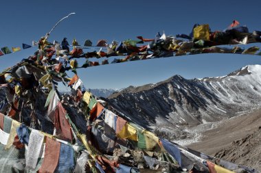 ladakh doğası