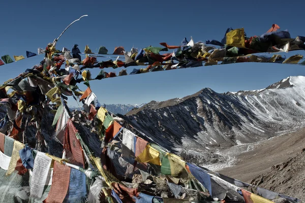 Ladakh doğası — Stok fotoğraf