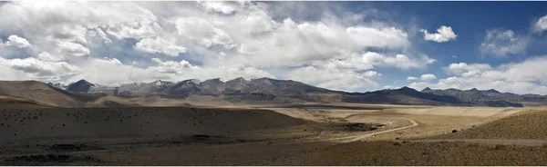 Naturaleza del Himalaya Ladakh — Foto de Stock