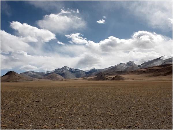 Himalaya aard (Ladakh) — Stockfoto