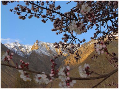 Himalayas nature (Ladakh) clipart