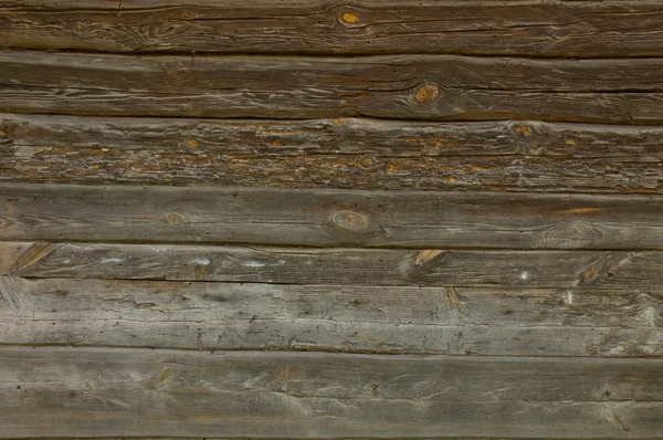 Die Wand der alten Baumstämme — Stockfoto