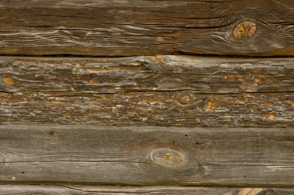 Die Wand der alten Baumstämme — Stockfoto