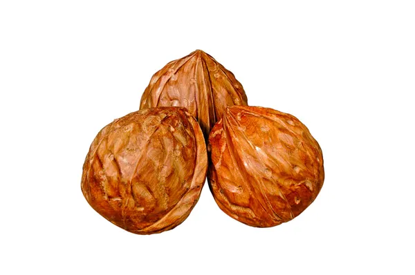 Walnuts from a tree, isolated — Stock Photo, Image