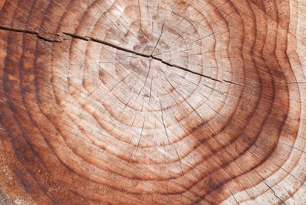 stock image Wood texture