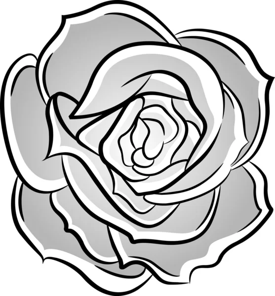 Ilustrasi mawar - Stok Vektor