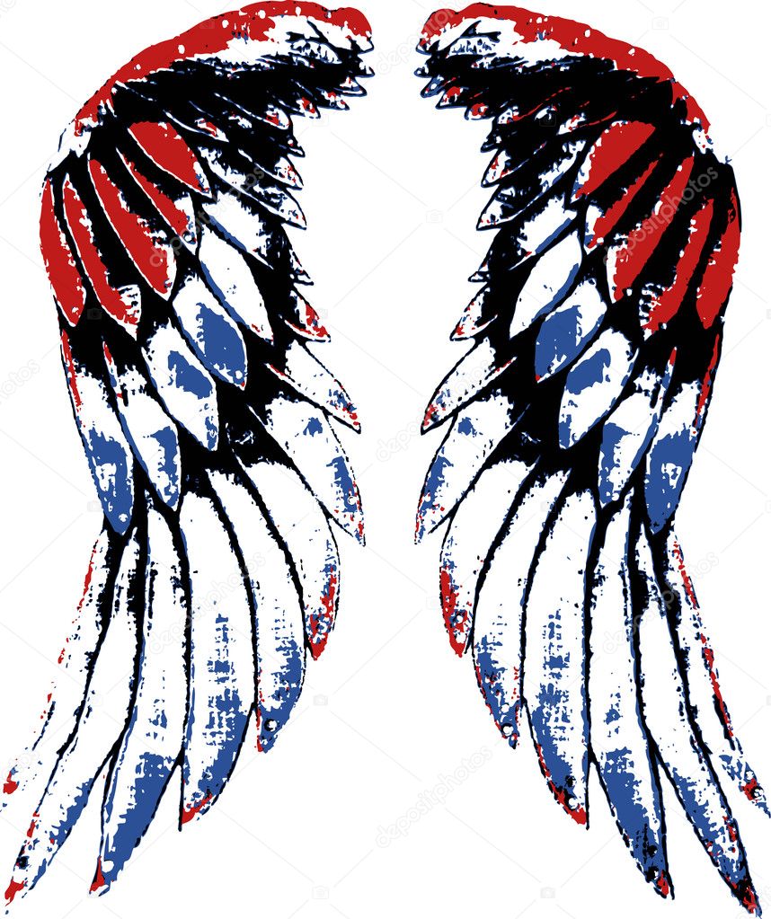 Bird wing illustration