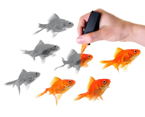 Giving life to a group of goldfish — Stock Photo, Image