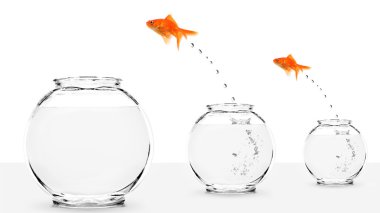 Two goldfish jumping to bigger fishbowls clipart