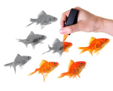 Giving life to a group of goldfish clipart