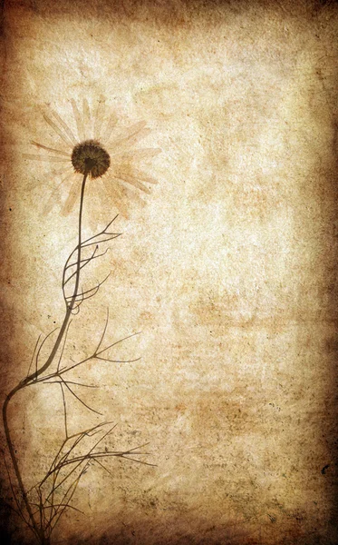 Grunge kağıt çiçek arka planla — Stok fotoğraf