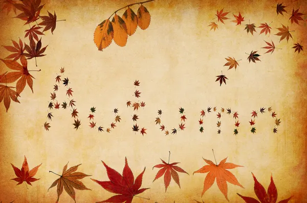 Grunge background with autumn letters made by leaves — Stock Photo, Image