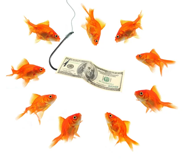 Pesca com nota de dólar — Fotografia de Stock