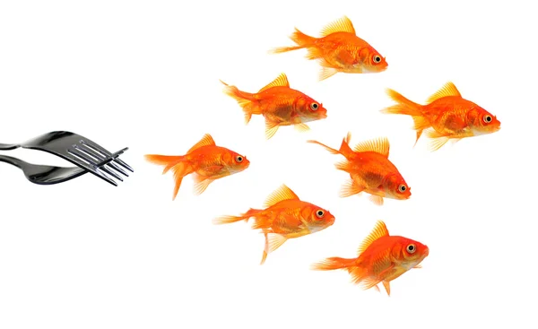 Goldfish escaping from forks — Stock Photo, Image