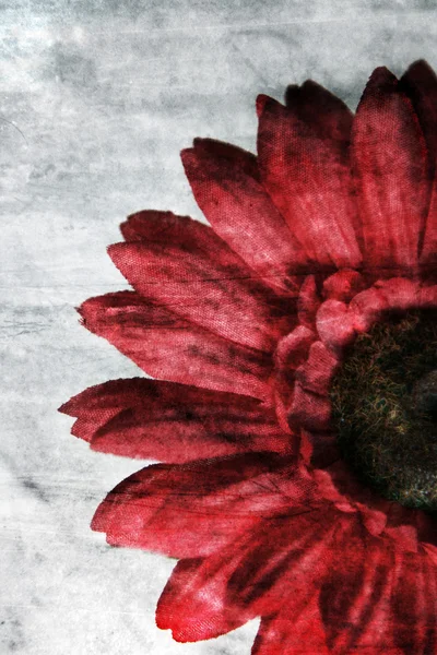 Grunge flower background — Stock Photo, Image