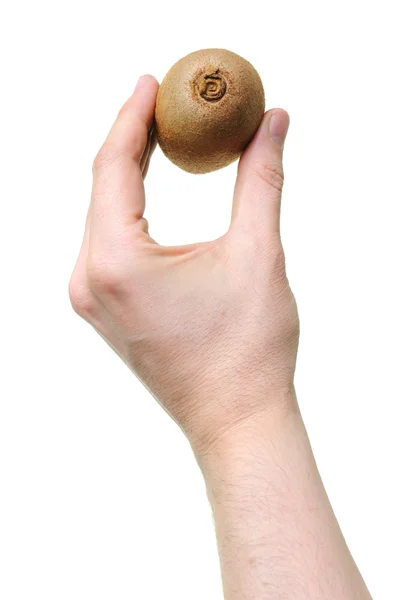 Hand innehav kiwi — Stockfoto