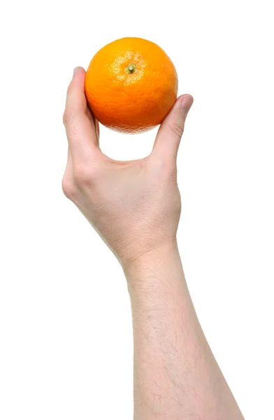 Hand hält orange — Stockfoto