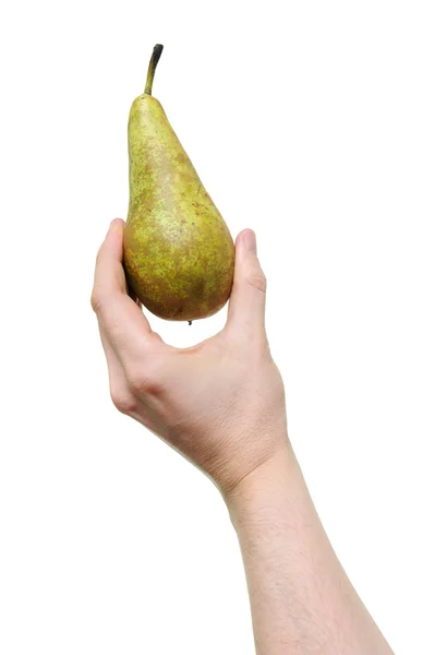 Hand holding pear — Stock Photo, Image