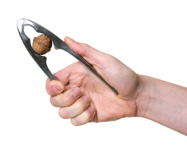 Hand cracking a walnut isolated over white background — Stock Photo, Image