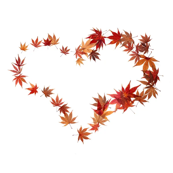 Forma de corazón hecha por hojas de arce otoño —  Fotos de Stock