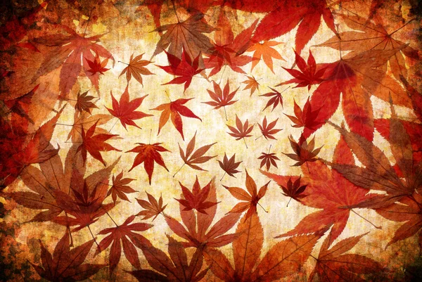 Abstract grunge herfst achtergrond — Stockfoto