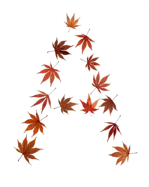 Een brief van bladeren — Stockfoto