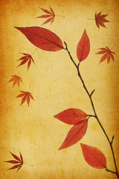 Abstrakter Grunge-Herbst-Hintergrund — Stockfoto