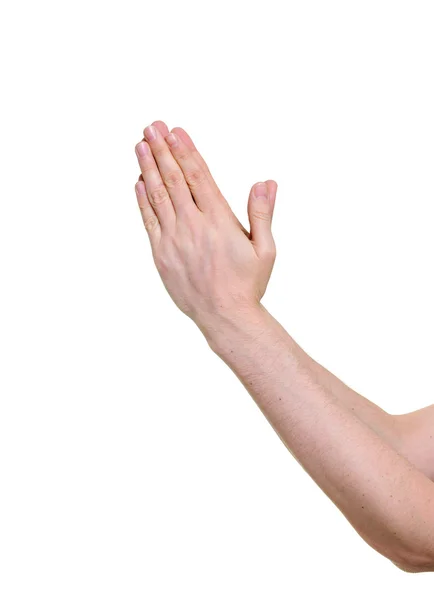 Mani che pregano isolate su sfondo bianco — Foto Stock