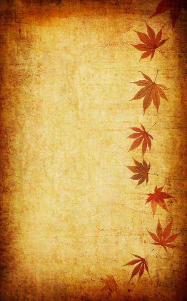 Abstract grunge autumn background with leaves — Stock Photo, Image
