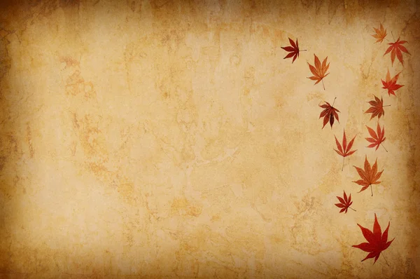 用树叶抽象 grunge 秋季背景 — 图库照片