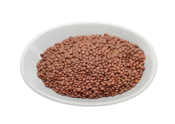 Brown uncooked lentils on plate Stock Image