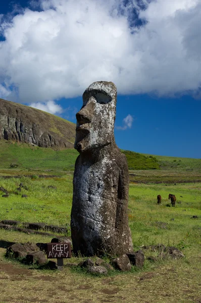 Easter island — Stock Photo, Image