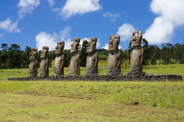 Easter island Stock Picture