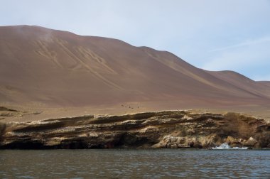 Paracas, Peru