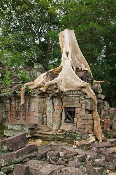 Templo no Camboja — Fotografia de Stock