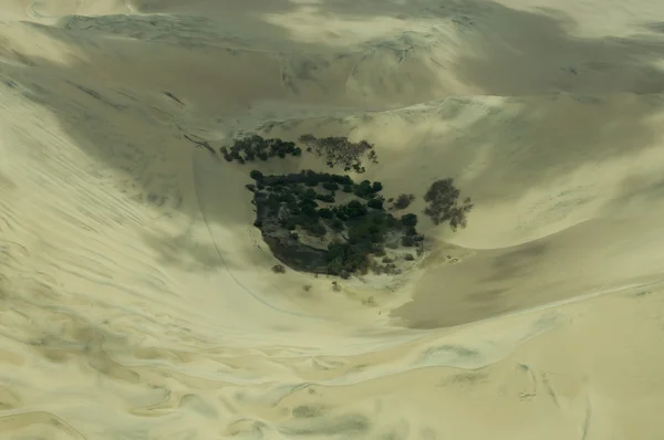 stock image Oasis in Nazca desert