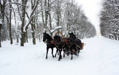 Russian traditional horse triplet clipart