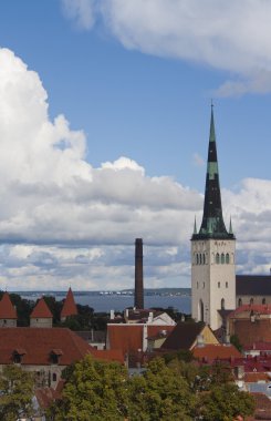 Tallinn çatılar