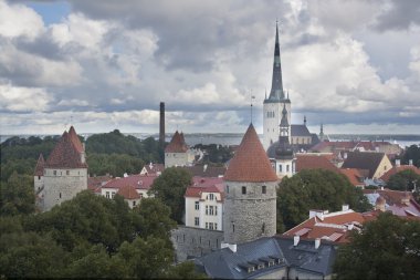 Tallinn çatılar