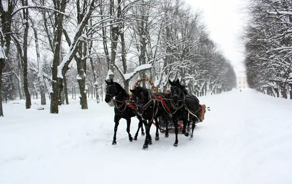 Ρωσική παραδοσιακά horse τρίδυμο — Φωτογραφία Αρχείου