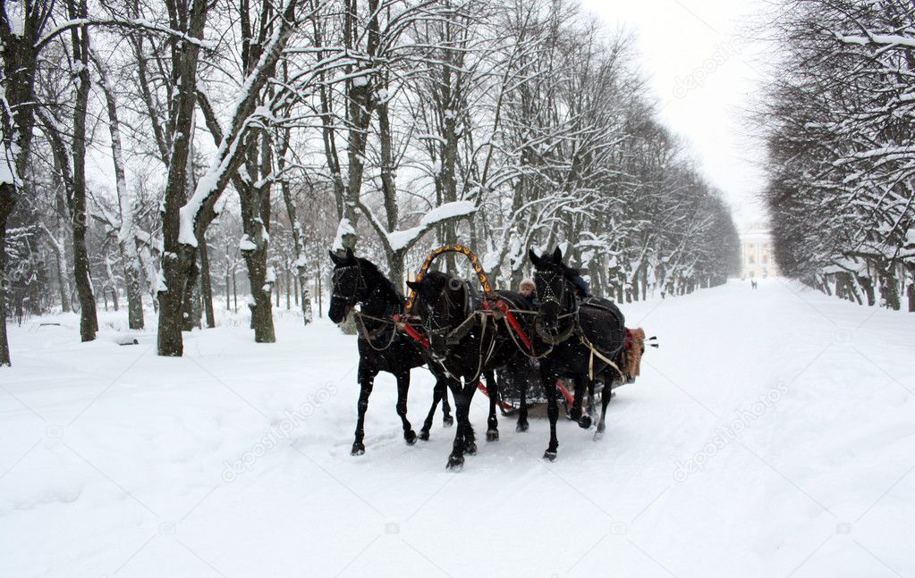 Russian traditional horse triplet