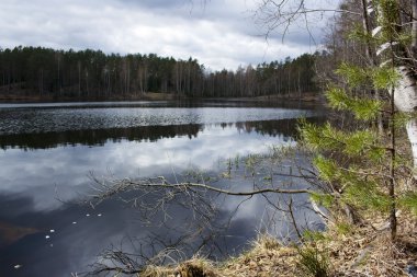 lake druzhunnoe. St. petersburg region, Rusya Federasyonu