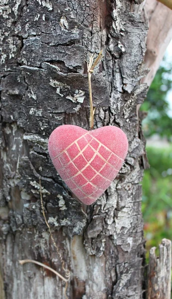 Srdce visí ze stromu — Stock fotografie