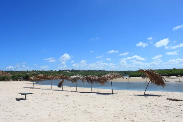 Beautiful beach with kiosks in Brazil Royalty Free Stock Photos