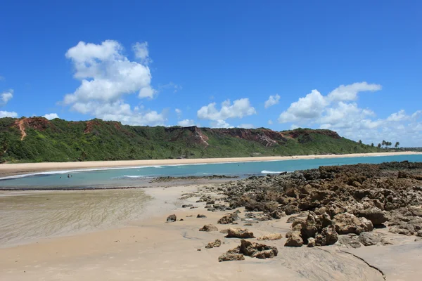 Deserted beach in Brazil Stock Image