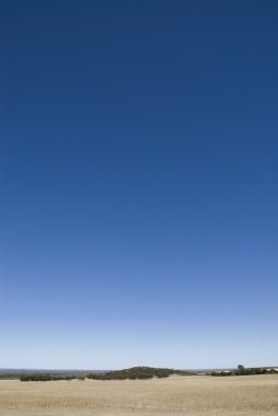 View of an Australian Farm in Summer